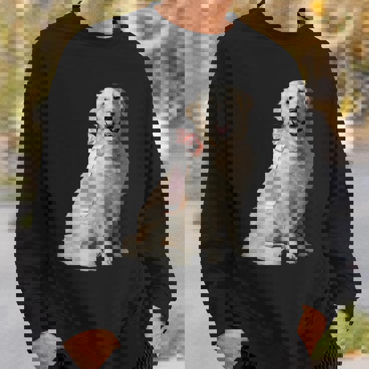 イングリッシュクリーム ゴールデンレトリバー 子犬 ピンク リボン クリーン ガール スウェットシャツ 彼への贈り物