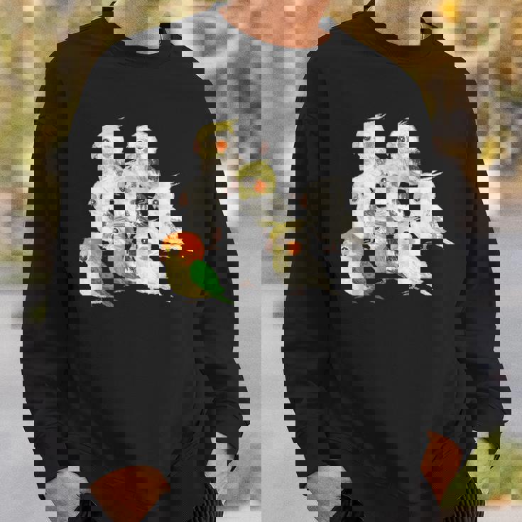 インコ かわいい 小鳥 ペット おもしろ 動物 イラスト スウェットシャツ 彼への贈り物