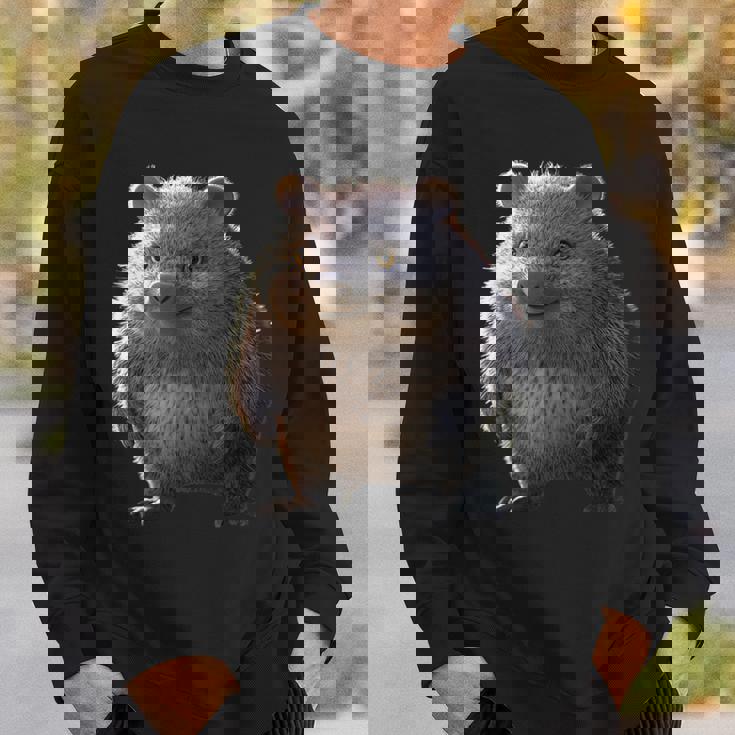 ウォンバット オーストラリア 有袋類 スイートウォンバット スウェットシャツ 彼への贈り物