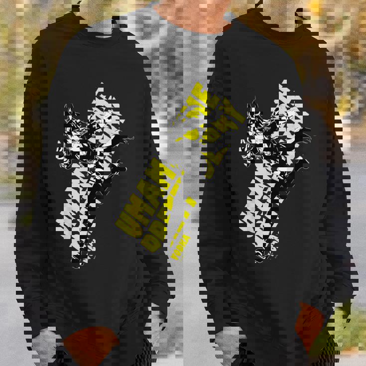 ウマ娘 プリティーダービー ウオッカ スウェットシャツ 彼への贈り物