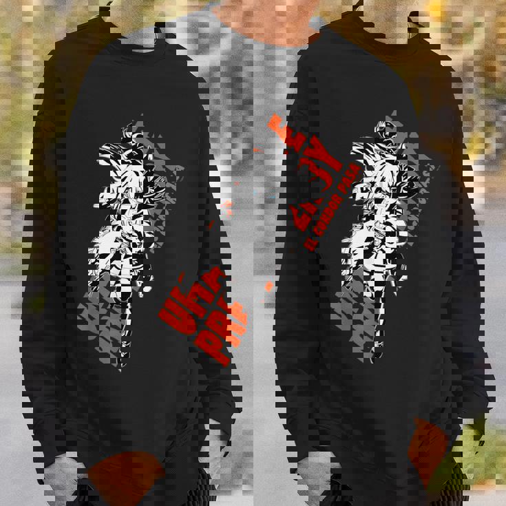 ウマ娘 プリティーダービー エルコンドルパサー スウェットシャツ 彼への贈り物