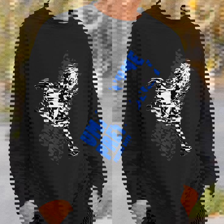 ウマ娘 プリティーダービー メイショウドトウ スウェットシャツ 彼への贈り物