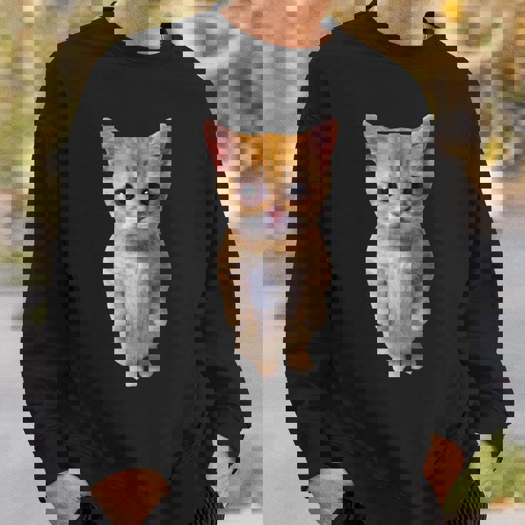 エルガト ミーム 悲しい泣き猫 マンチキン キティ ミーム トレンディ スウェットシャツ 彼への贈り物