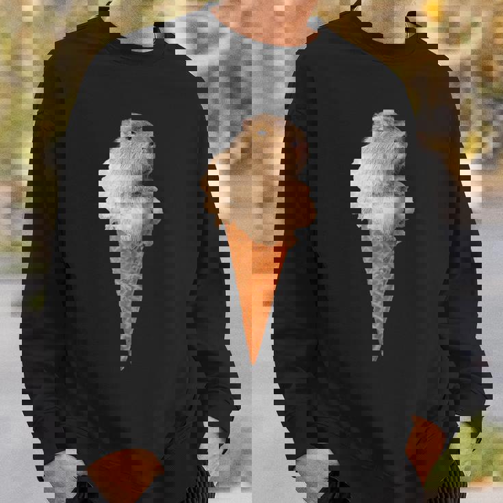 カピバラ アイスクリーム コーン おもしろ かわいい スウェットシャツ 彼への贈り物