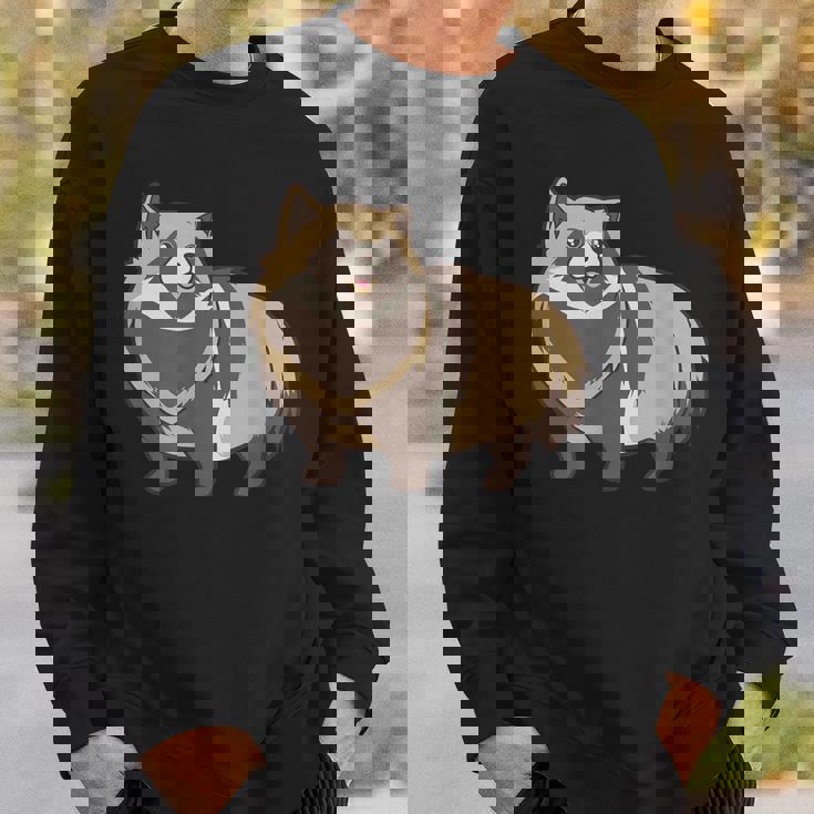 カワイイタヌキ スウェットシャツ 彼への贈り物