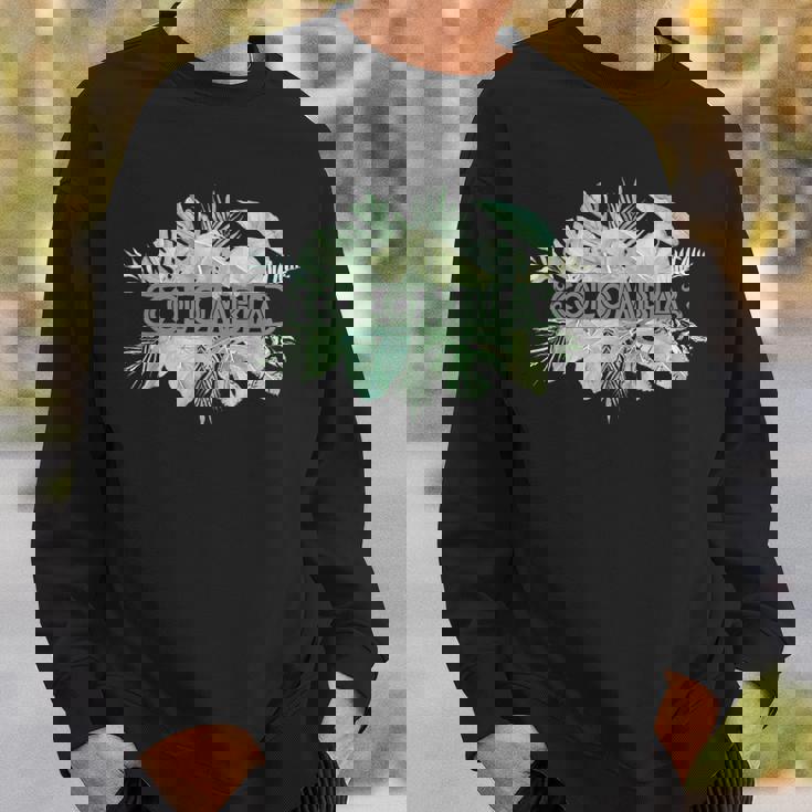 コロンビア ラテンアメリカ カリブ海 太平洋 エコツー リズム ギフト お土産 モンステラヤシ ビーチ ヤシの木 スウェットシャツ 彼への贈り物