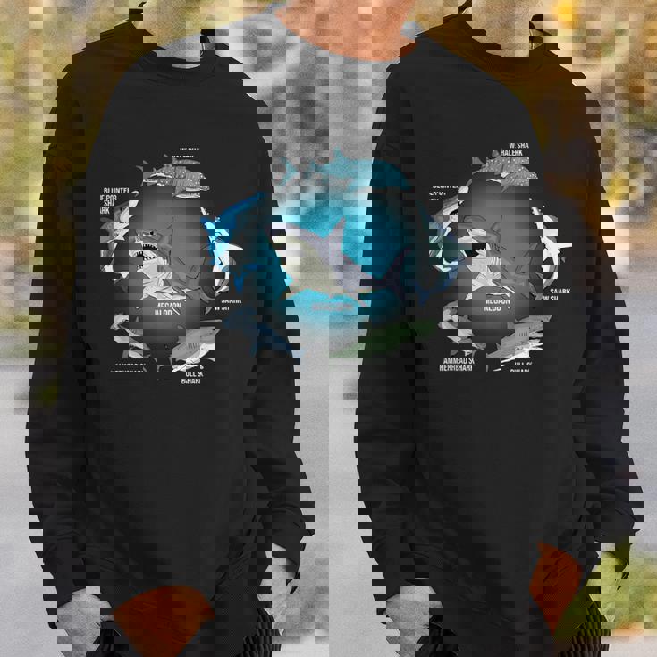 サメ6種 サメタイプ サメ 海の生き物 メガロドン サメ スウェットシャツ 彼への贈り物