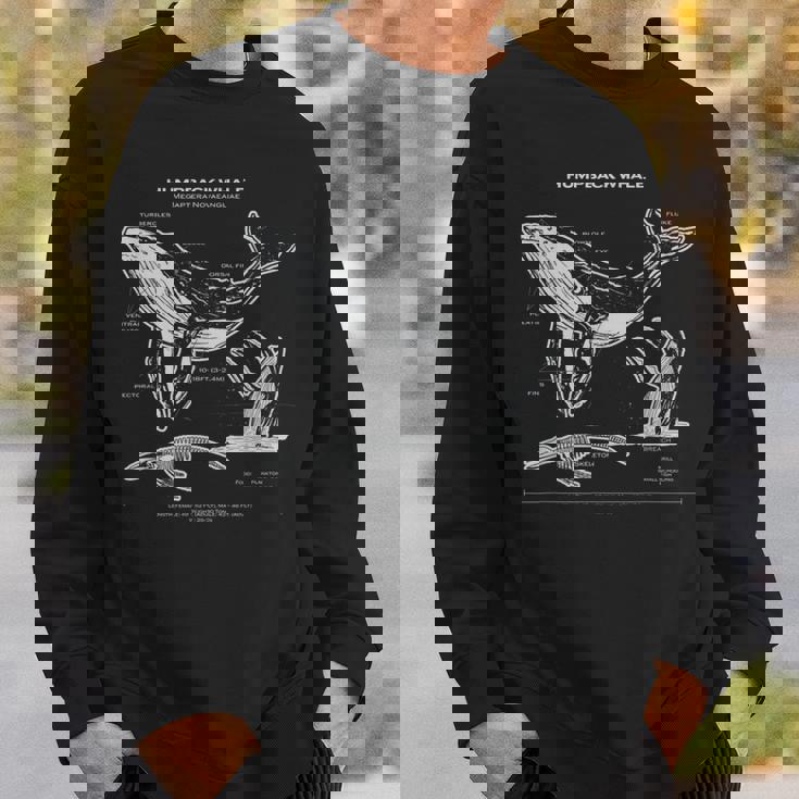 ザトウクジラの解剖学アパレルクジラ航海 スウェットシャツ 彼への贈り物