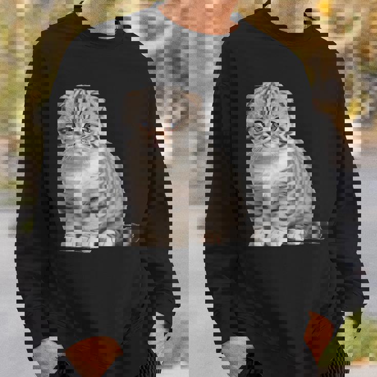 スコティッシュフォールド シンプルデザイン スウェットシャツ 彼への贈り物