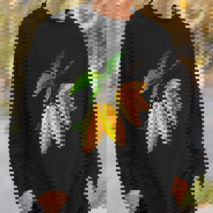 スターフルーツ フルーツ モチーフ イラスト スターフルーツ スウェットシャツ 彼への贈り物