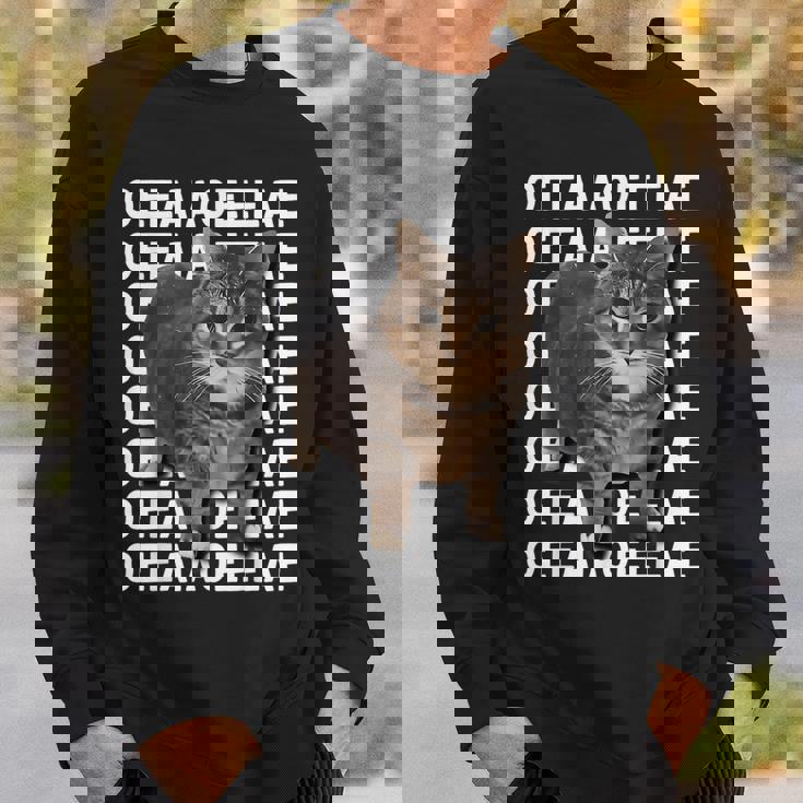 スピニングキャットミーム Oiiaoiia キャットミーム スウェットシャツ 彼への贈り物