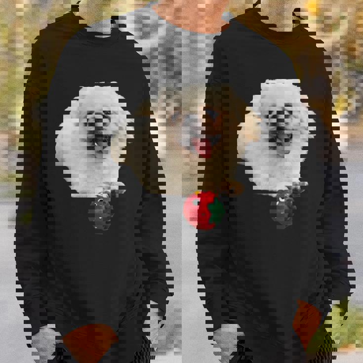 スマイル ペキニーズサニー スウェットシャツ 彼への贈り物