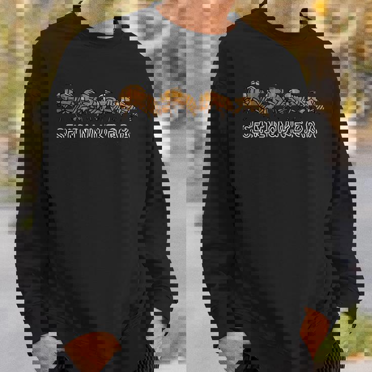 セミの抜け殻 スウェットシャツ 彼への贈り物