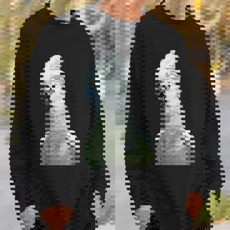 タイハクオウム 鳥 オウム スウェットシャツ 彼への贈り物