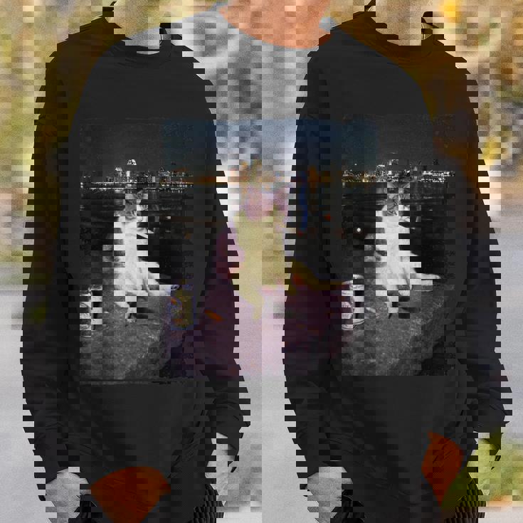 タバコ 子猫 おもしろい 喫煙 猫 ミーム バカ 脳腐 スウェットシャツ 彼への贈り物