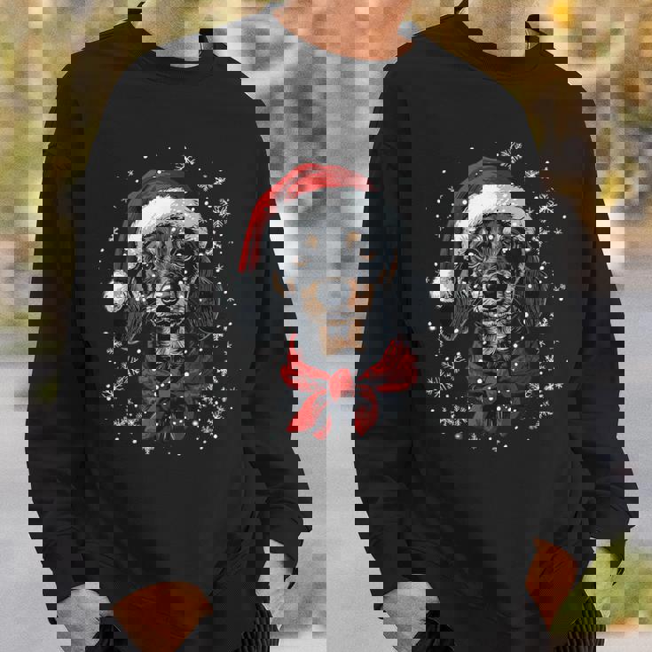 ダックスフント ウィーナー 犬 サンタ 帽子 面白い かわいい クリスマス スウェットシャツ 彼への贈り物