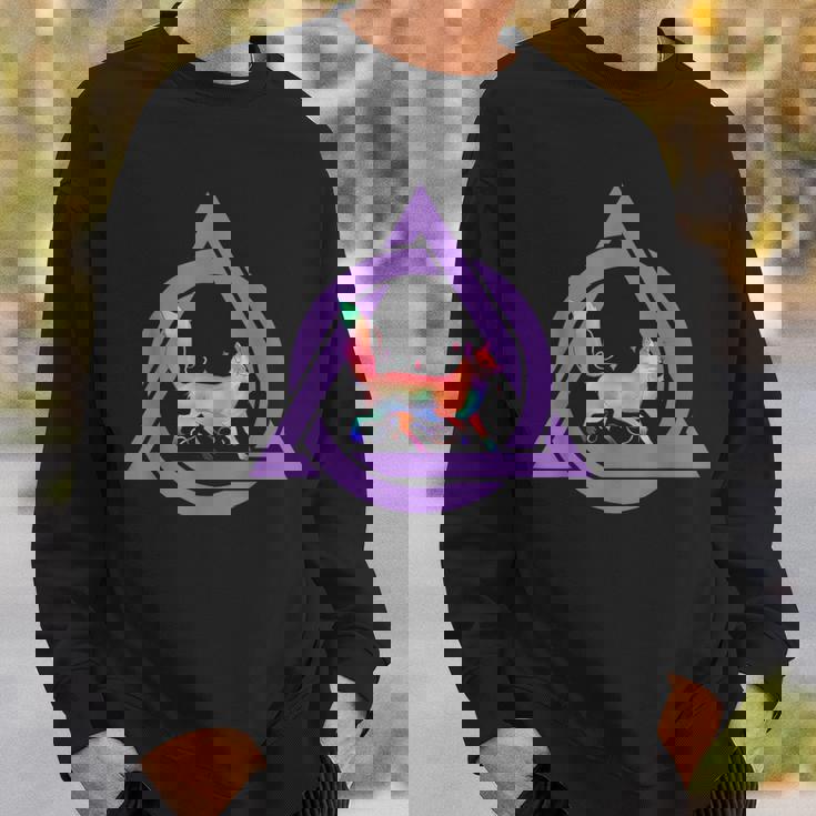 テリアン・ウェア・デルタフォックス スウェットシャツ 彼への贈り物