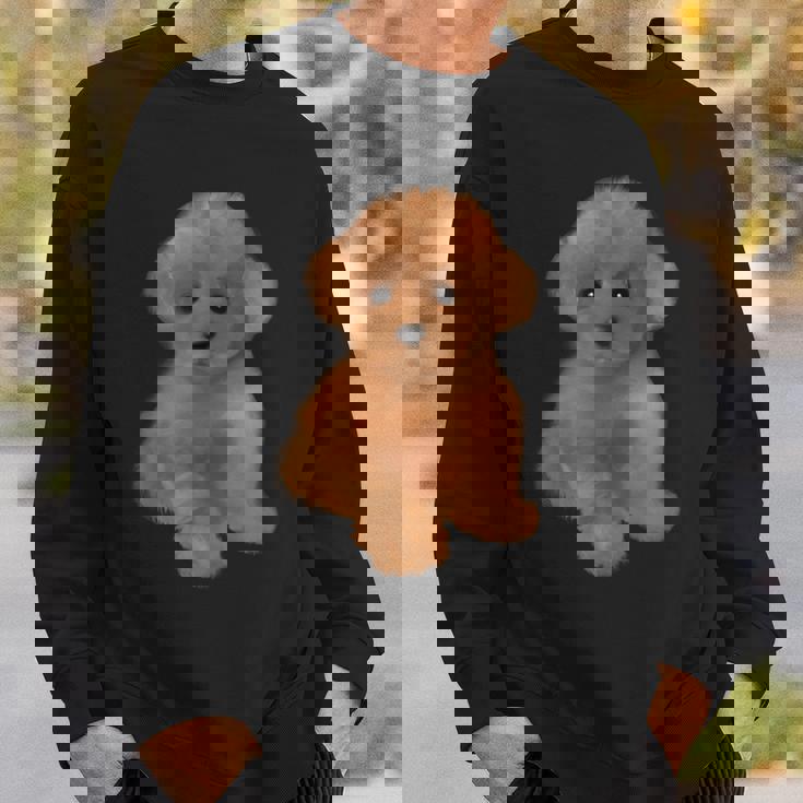 トイプードル 犬種 ミニプードル 子犬 スウェットシャツ 彼への贈り物