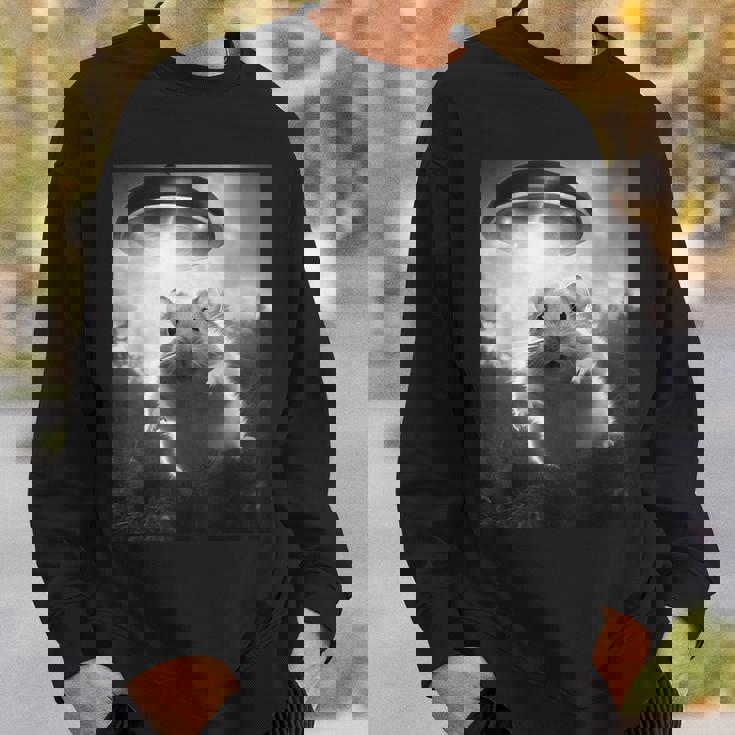 ハムスターを追うufo、クレイジーな動物、面白いハムスター スウェットシャツ 彼への贈り物