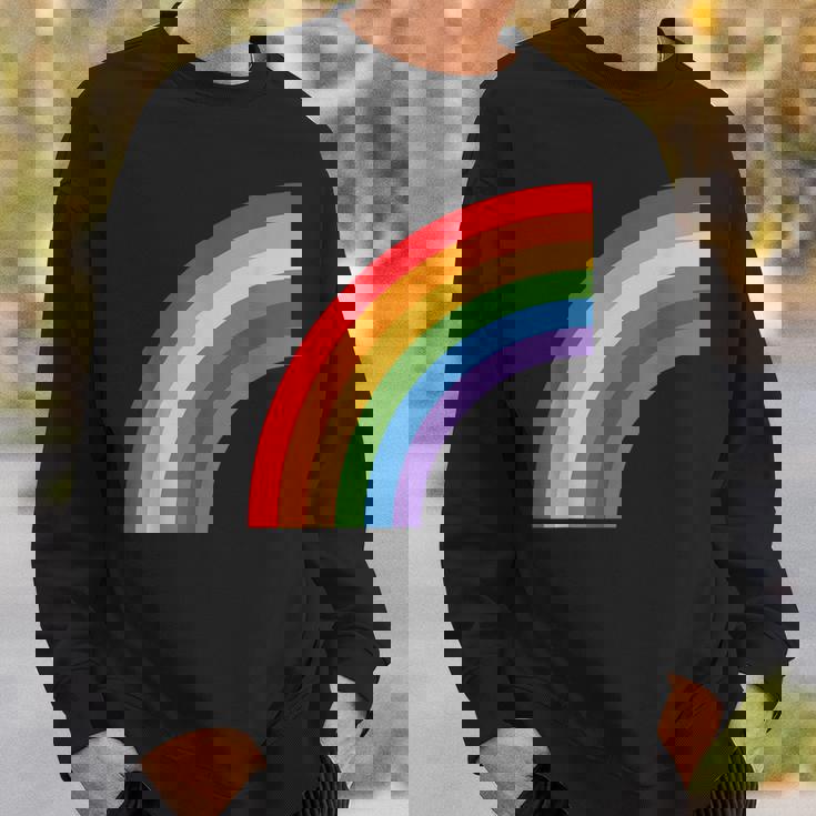 ハーフレインボー Roygbiv カラフルラッキーレインボー スウェットシャツ 彼への贈り物