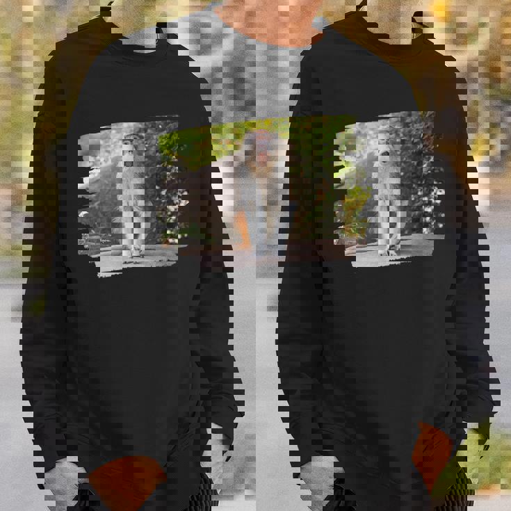 パタス・モンキー スウェットシャツ 彼への贈り物