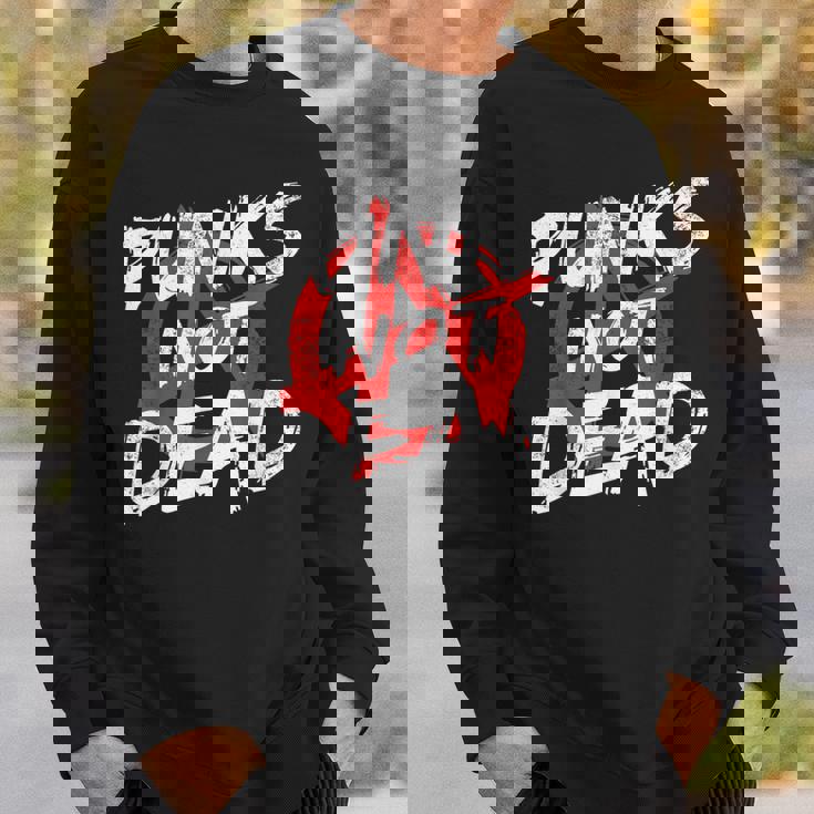 パンク ロック ポゴ アナーキー パンクス パンク ロッカー パンクの衣装 スウェットシャツ 彼への贈り物