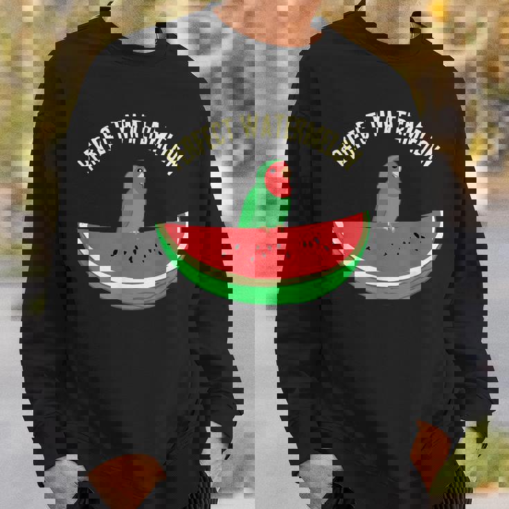 パーフェクトスイカラブバード、バーブミーム、グリーンオウムフルーツ スウェットシャツ 彼への贈り物