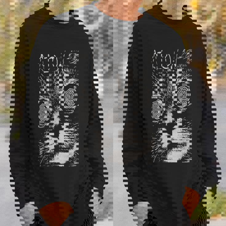 ヒップホップ Y2k Hip Hop Cat ヴィンテージ ヒップスター レトロ エッジの効いたストリートウェア 猫 スウェットシャツ 彼への贈り物