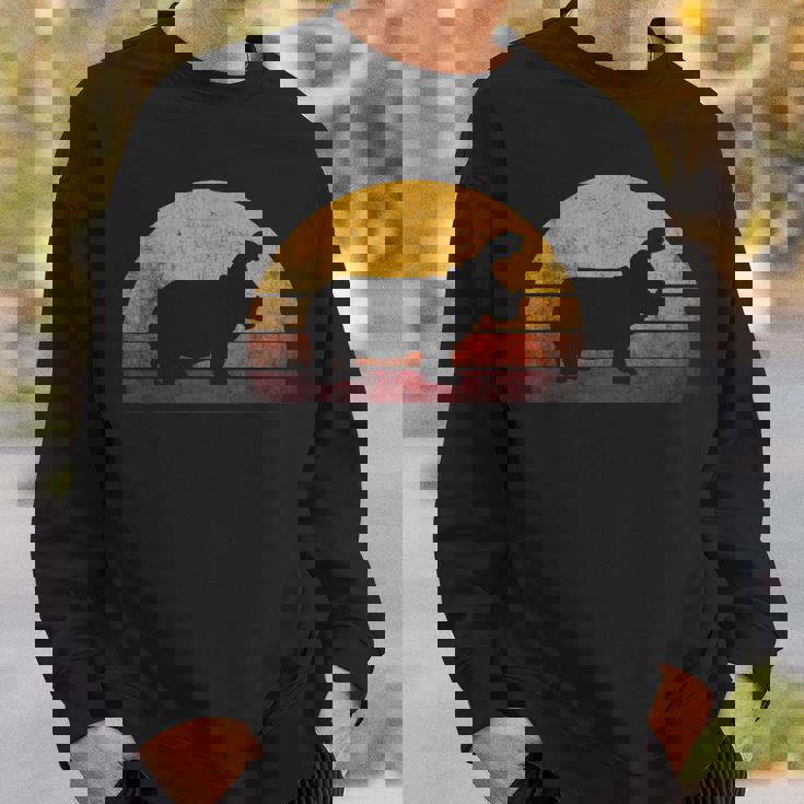 ビンテージ カバ デザイン レトロな日没カバ スウェットシャツ 彼への贈り物