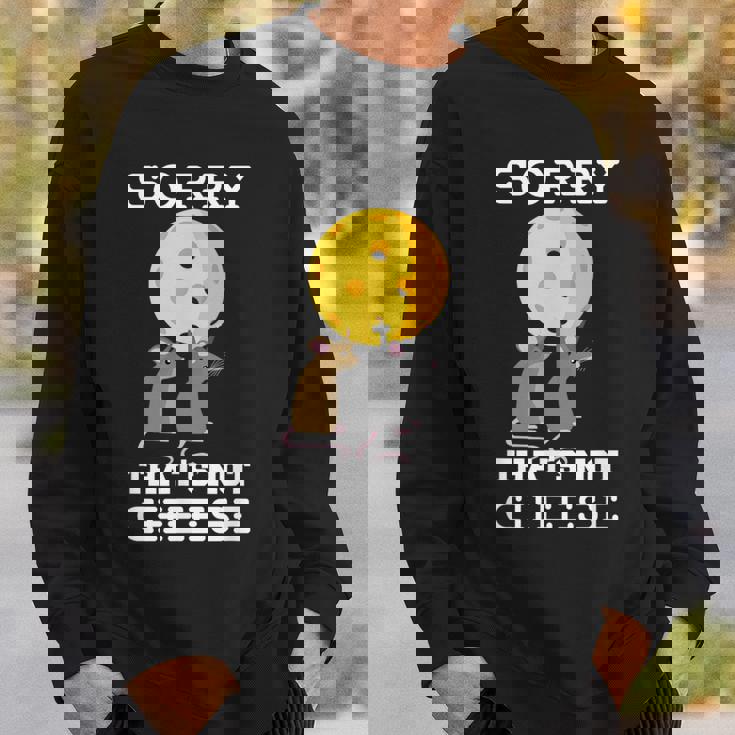 ピックルボール用パドル ラケット、ピックルボール用ボール、ピックルボール スウェットシャツ 彼への贈り物