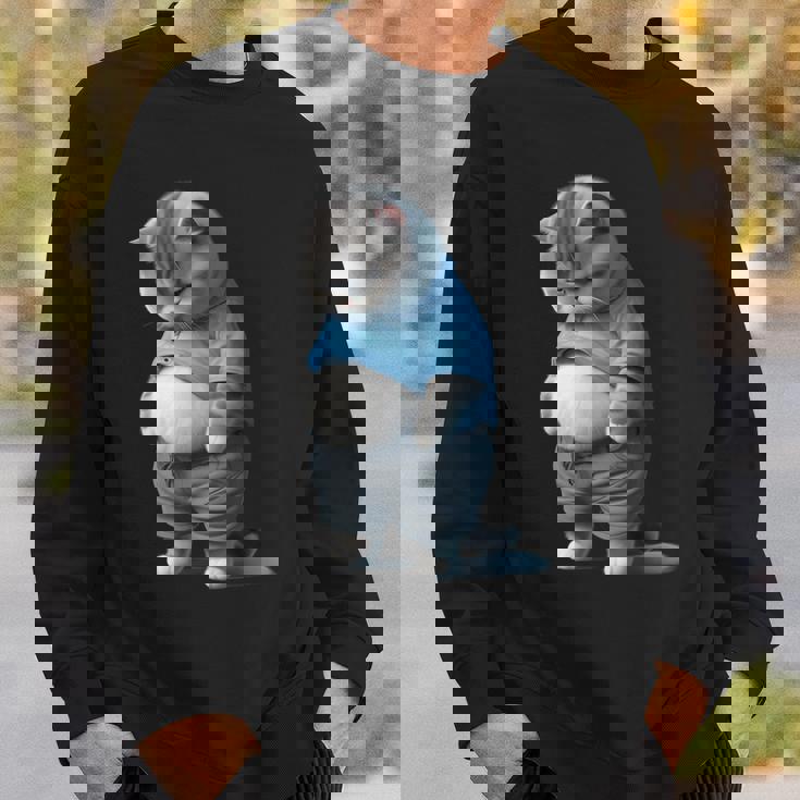 ファニー ファット 悲しい猫 アートデザイン 太った子猫 猫好き スウェットシャツ 彼への贈り物