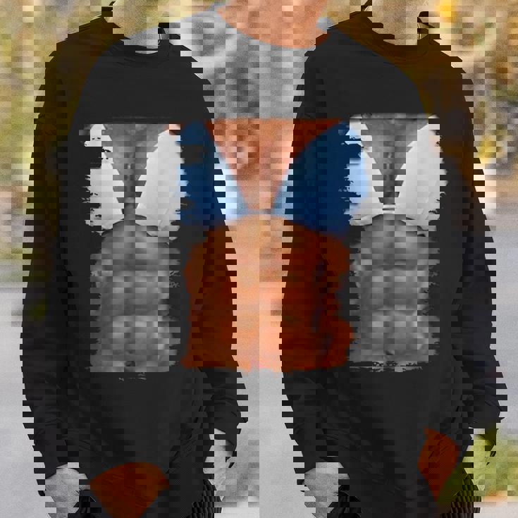 フェイク アブス ファニービキニ ボディマッスル 6パック 3D スウェットシャツ 彼への贈り物