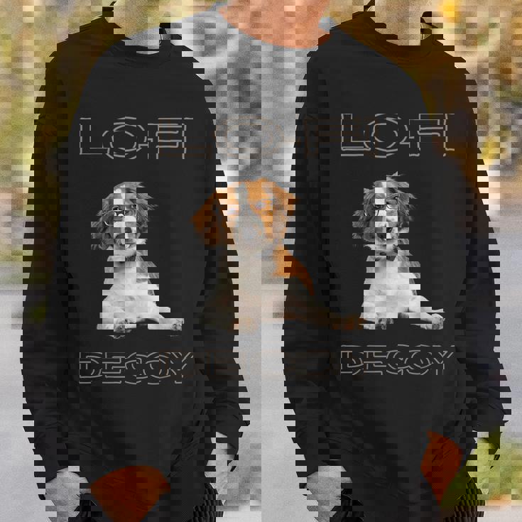 フルカラー インテリデコピン 眼鏡犬 Lo-Fi ヒップホップ 音楽愛好家 犬好き スウェットシャツ 彼への贈り物