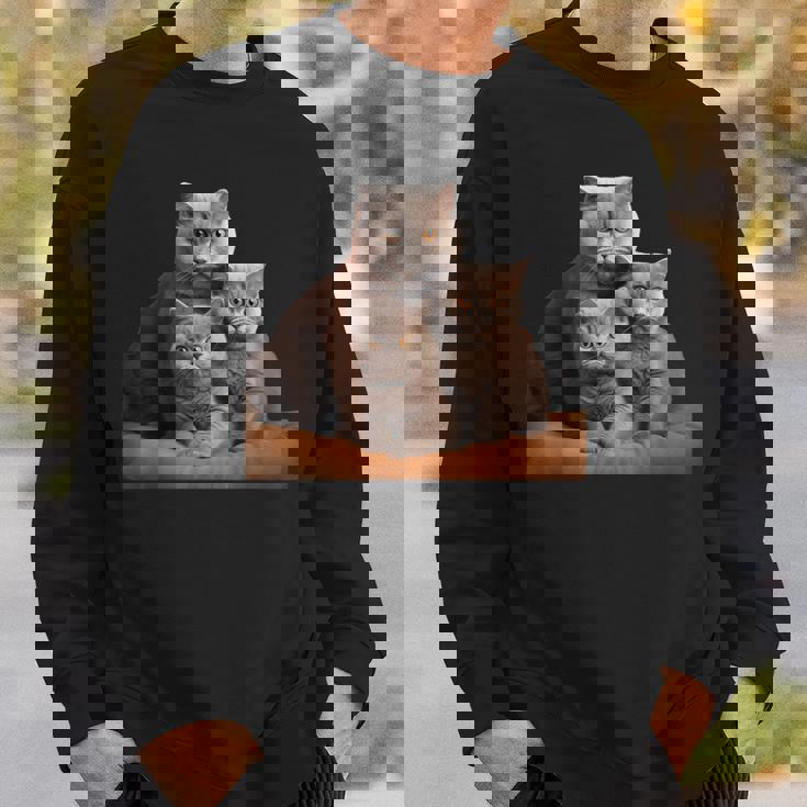 ブリティッシュショートヘアキャット 母の日 ブリティッシュショートヘアキャット スウェットシャツ 彼への贈り物