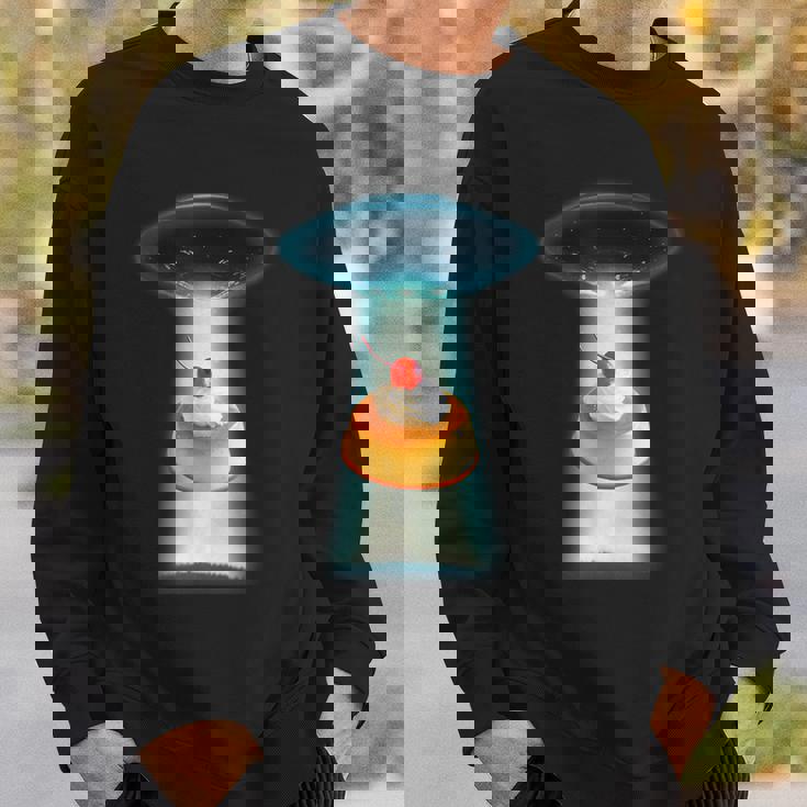 プリン Ufo 面白いtシャツ 食べ物 ダイエット 減量 メンズ おもしろ 面白い 服 オリジナル グッズ ネタ スウェットシャツ 彼への贈り物