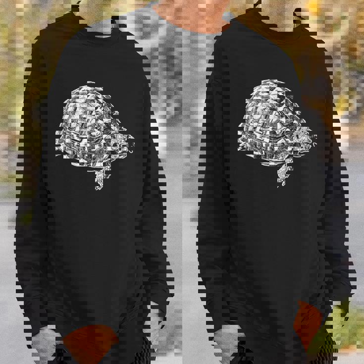 ヘルマンリクガメ スウェットシャツ 彼への贈り物