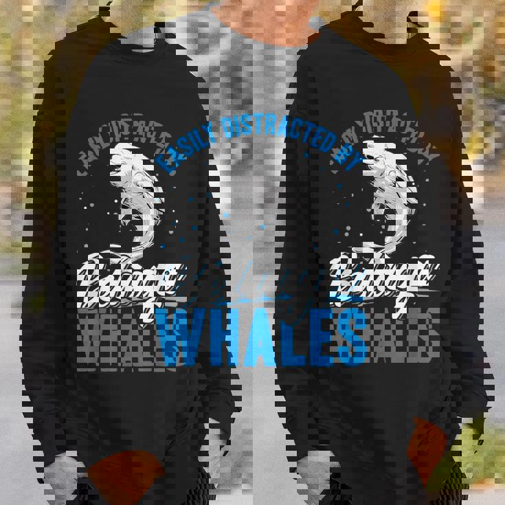 ベルーガクジラに簡単に気を取られる面白いシロイルカ動物。 スウェットシャツ 彼への贈り物