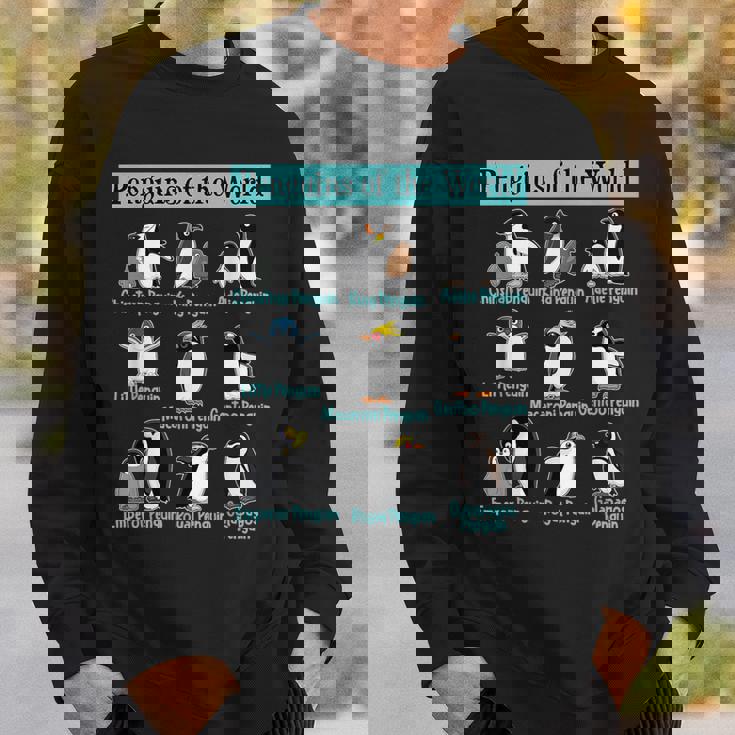 ペンギンの種類 ペンギン好き 野生動物 北極 シーバードファン スウェットシャツ 彼への贈り物