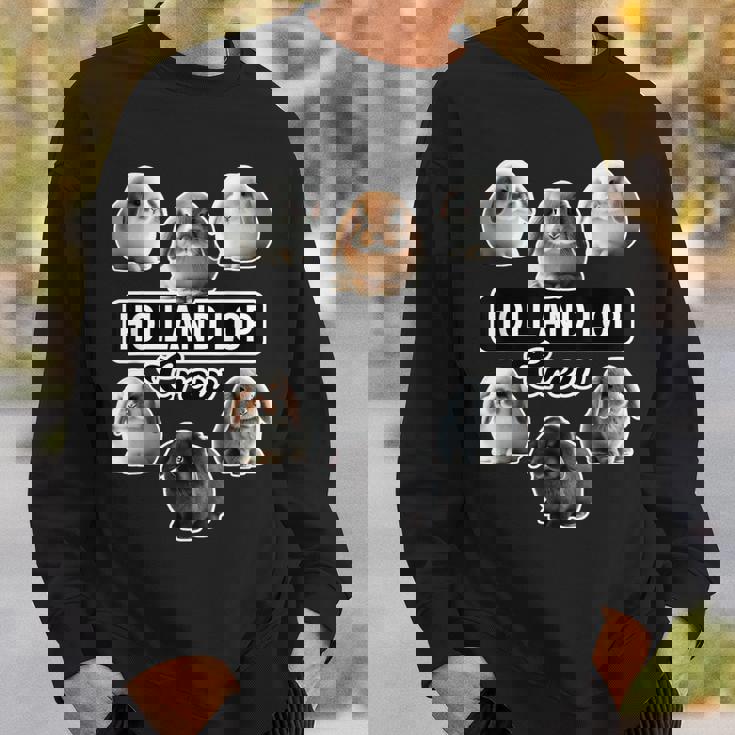 ホーランドロップラビットクルーファニーバニー スウェットシャツ 彼への贈り物