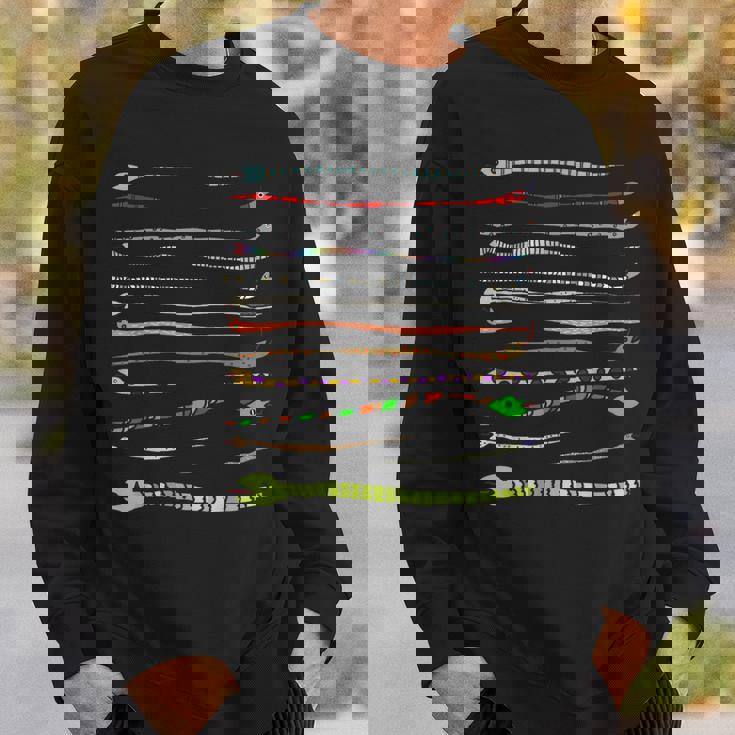 ボーダー カラフル Pop 爬虫類 かわいい オリジナル ヘビ柄 手描き フロント ボーダー イラスト おもしろ スウェットシャツ 彼への贈り物