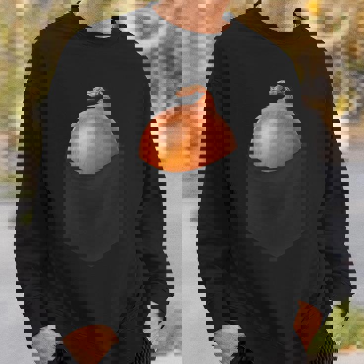 ポケットに入った玉ねぎ、胸に面白い玉ねぎ。 スウェットシャツ 彼への贈り物