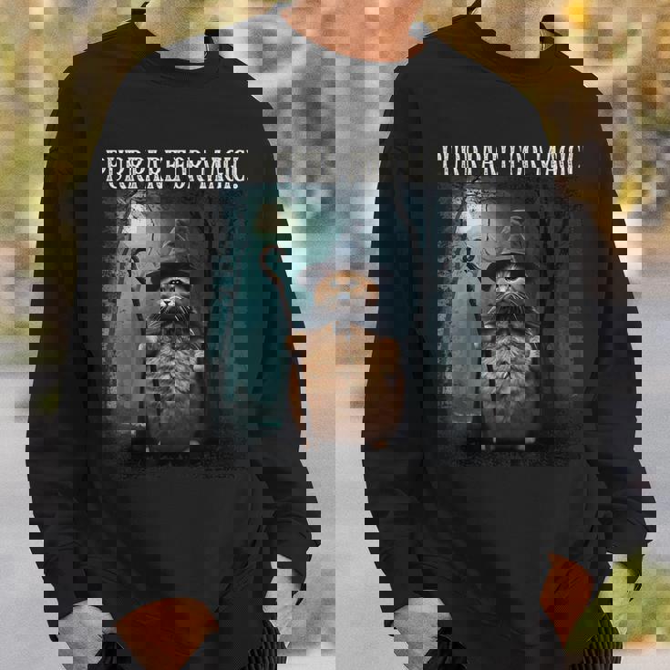 マジック・ファニー・ウィザード・キャットのためにパープレイしよう スウェットシャツ 彼への贈り物