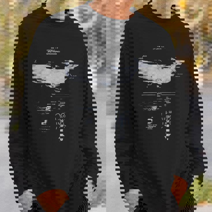 マッコウクジラの解剖学 海洋生物学者 スウェットシャツ 彼への贈り物