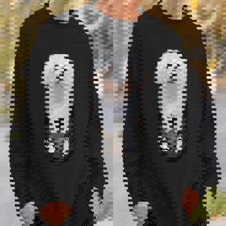 マルチーズ マルタ犬 マルタ語 スウェットシャツ 彼への贈り物