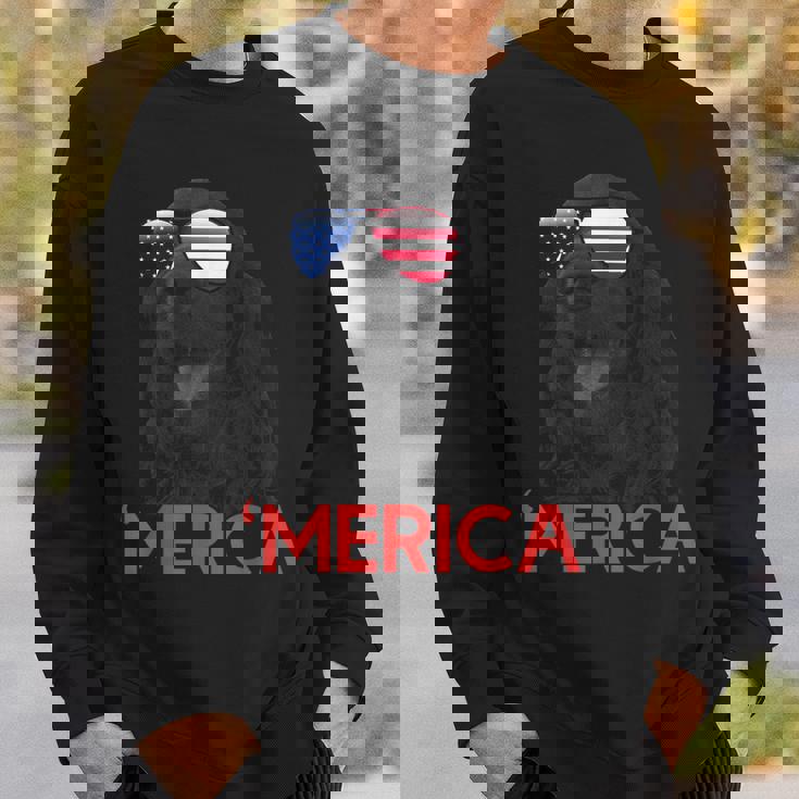 メリカ Englsh Cockerspaniel アメリカ国旗 7月4日 スウェットシャツ 彼への贈り物