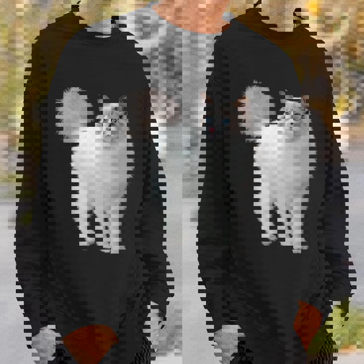 ラグドール 猫のポートレート ラグドール キャットヘッド ラグドール 猫の顔 スウェットシャツ 彼への贈り物