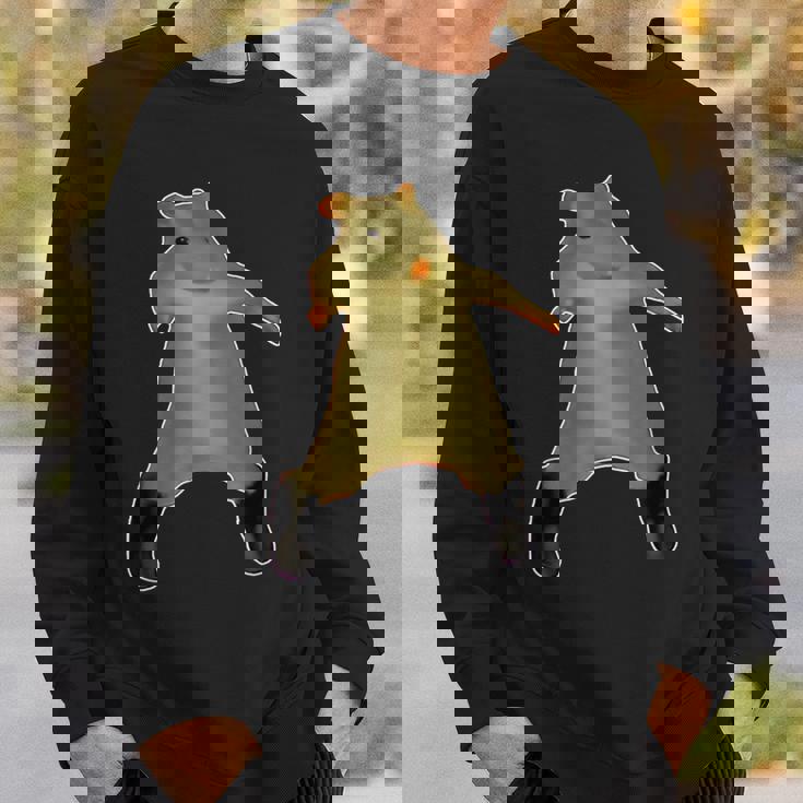 ラットダンスミーム2025面白いトレンディRatdance スウェットシャツ 彼への贈り物