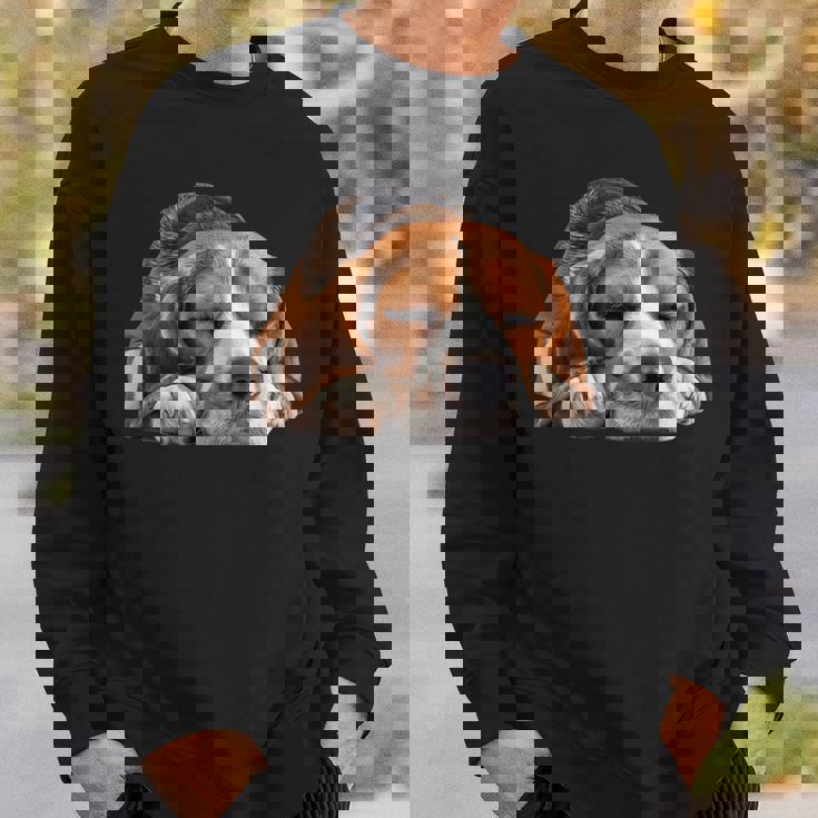 レイジービーグル スウェットシャツ 彼への贈り物