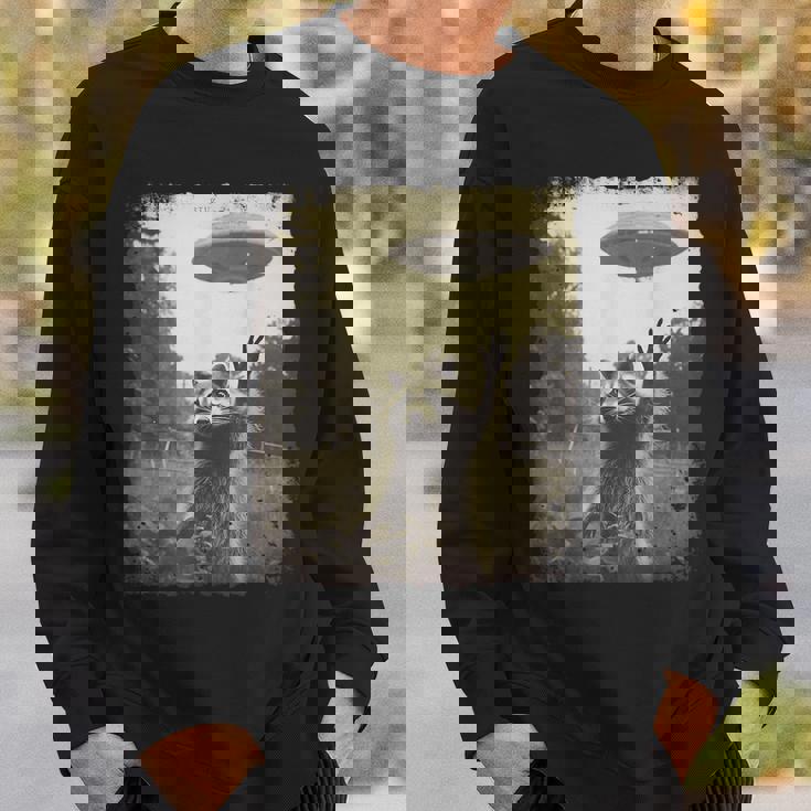 ヴィンテージ ヒップスター レトロ Hip Hop Uap ストリートウェア エイリアン 面白い Ufo ラクーン スウェットシャツ 彼への贈り物