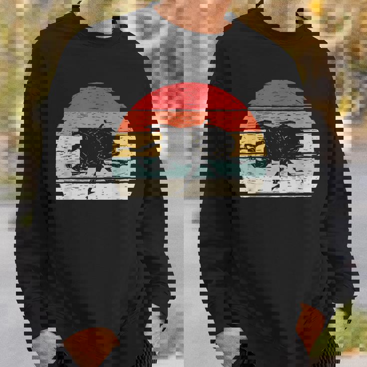 ヴィンテージ レトロ カブトムシ 昆虫 スウェットシャツ 彼への贈り物